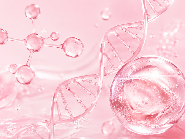 Collagène hydrolysé